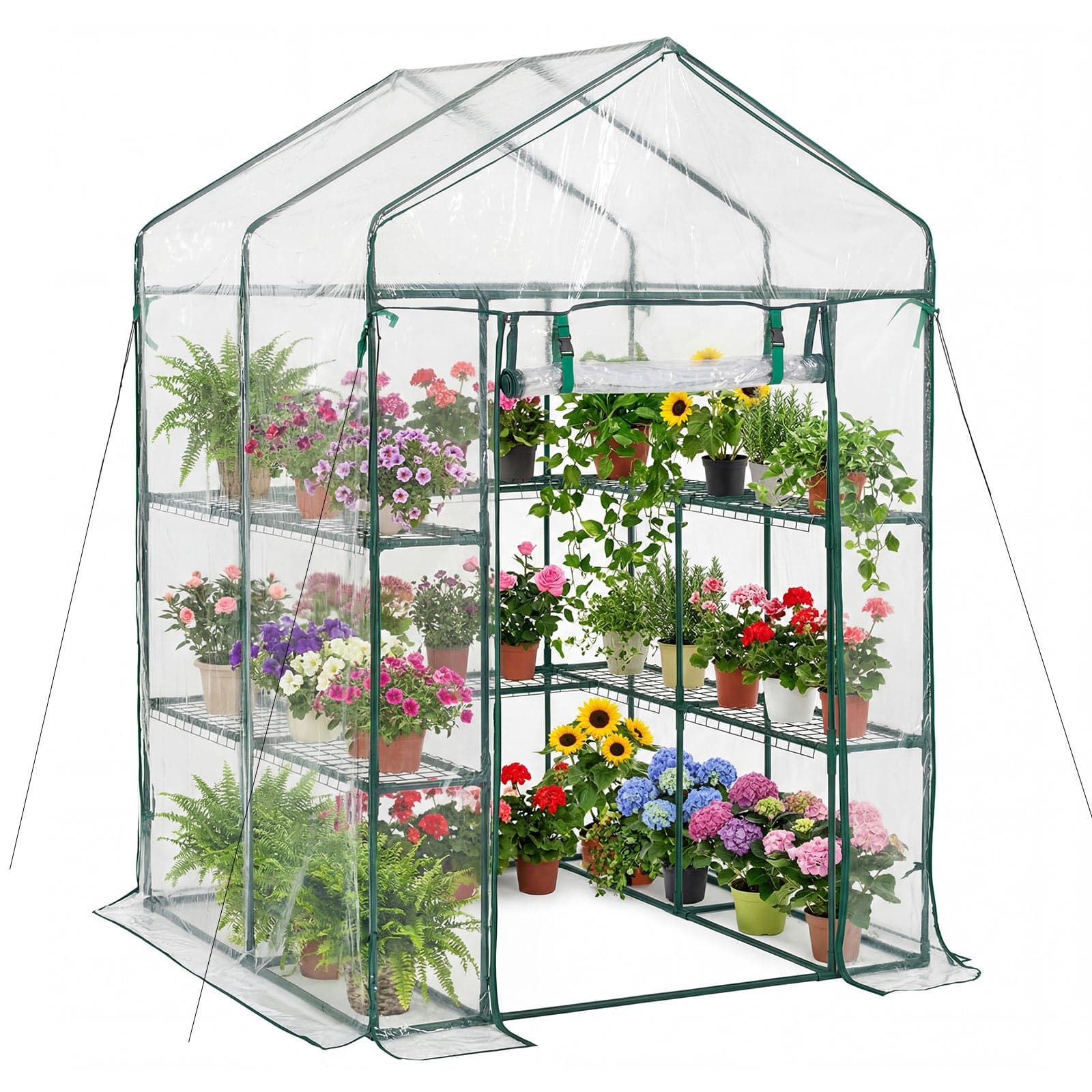 Оранжерия 137 × 137 × 196 см с 10 рафта и PVC покритие